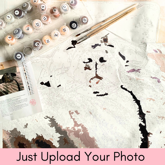 Paint Your Photo - Personalised Paint By Numbers