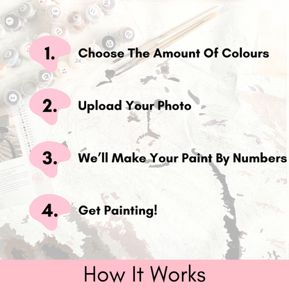 Paint Your Photo - Personalised Paint By Numbers