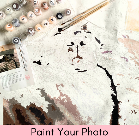 Personalised Paint By Numbers - Paint Your Own Photo