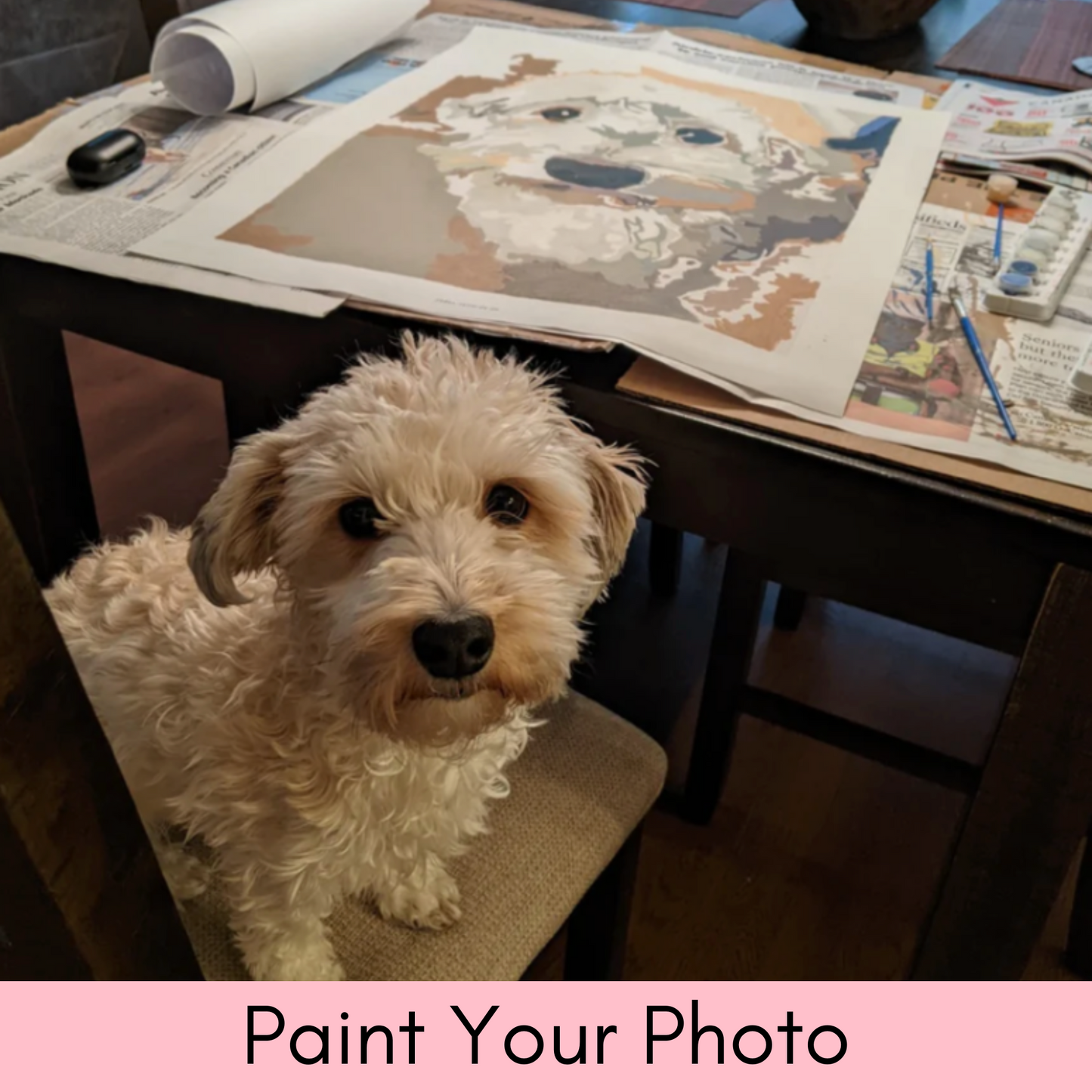 Paint Your Photo - Personalised Paint By Numbers