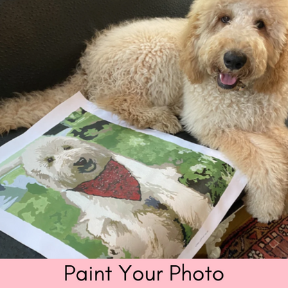 Paint Your Photo - Personalised Paint By Numbers